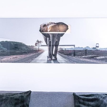 Christiano Apartments - Villa Schoenbrunn Viyana Dış mekan fotoğraf