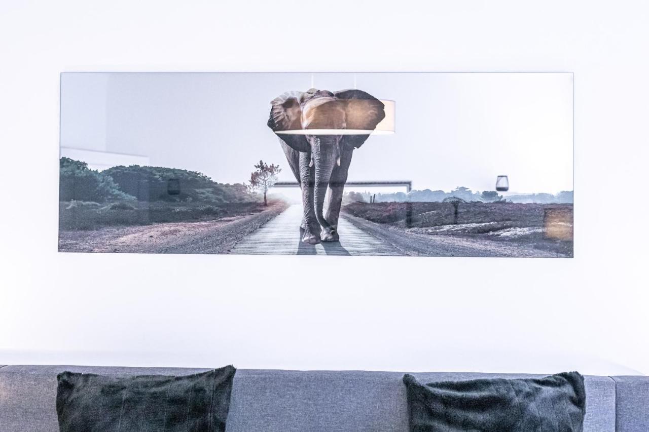 Christiano Apartments - Villa Schoenbrunn Viyana Dış mekan fotoğraf